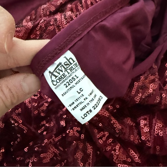 Gorgeous dance costume - a wish come true - Picture 6 of 7